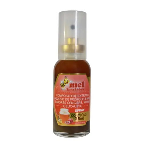 SPRAY BUCAL SANTA BARBARA PROPOLIS ROMA GENGIBRE EUCALIPTO 35ML