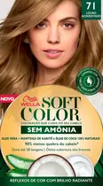 TINTURA SOFT COLOR 71 LOURO MEDIO ACINZENTADO