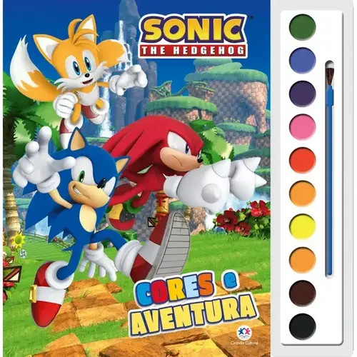 LIVRO SONIC CORES E AVENTURA