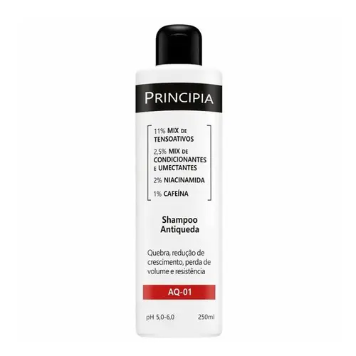 SHAMPOO ANTIQUEDA PRINCIPIA AQ-01 250ML.