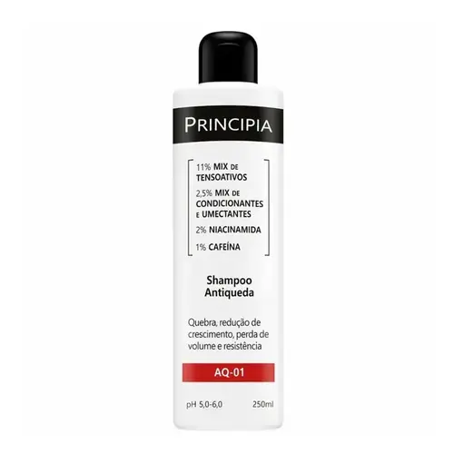 SHAMPOO ANTIQUEDA PRINCIPIA AQ-01 250ML.